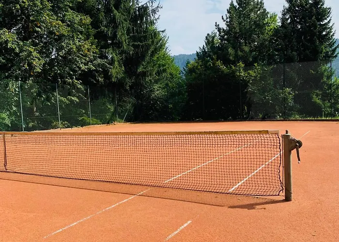 Laerchenhof Luxury 公寓 赛特朵夫